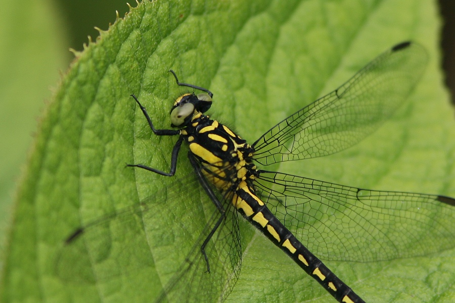 b0084270_0331510.jpg