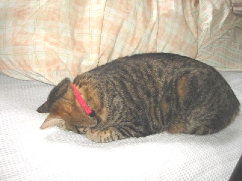 e0031572_11133083.jpg