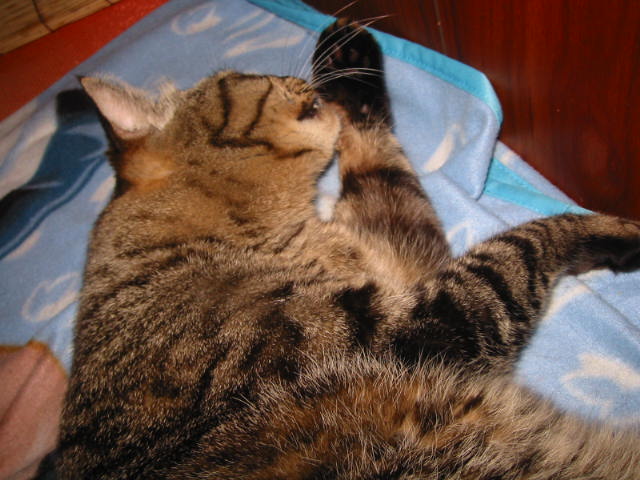 e0031572_1114074.jpg