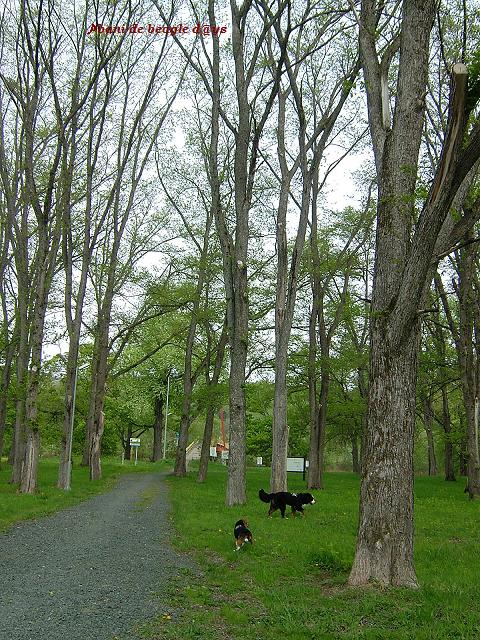 f0150377_848258.jpg