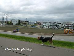 f0150377_8531443.jpg