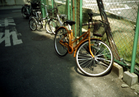 d0051178_23101473.jpg