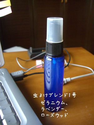 b0000885_74212100.jpg