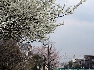 c0105785_1022454.jpg