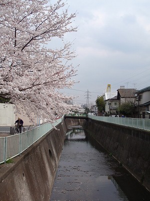 c0105785_107364.jpg