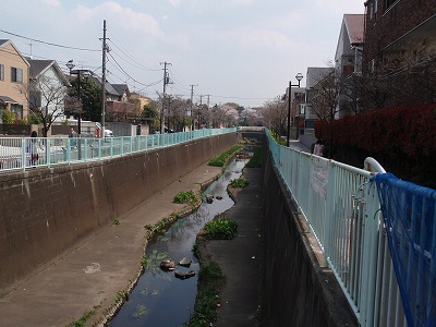 c0105785_8365048.jpg