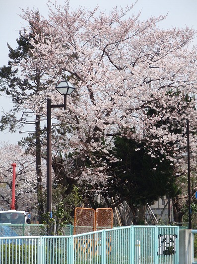 c0105785_842567.jpg