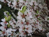 c0105785_8514961.jpg