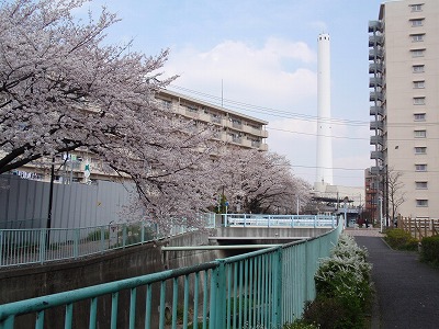 c0105785_8571323.jpg