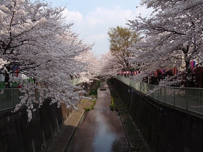 c0105785_9252331.jpg