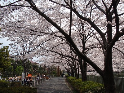 c0105785_9415654.jpg