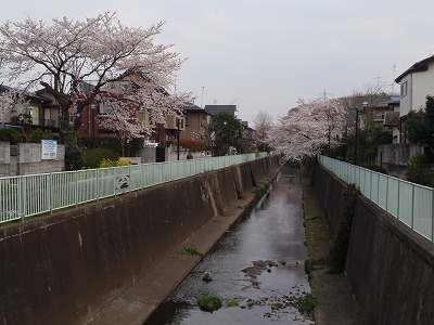 c0105785_946553.jpg