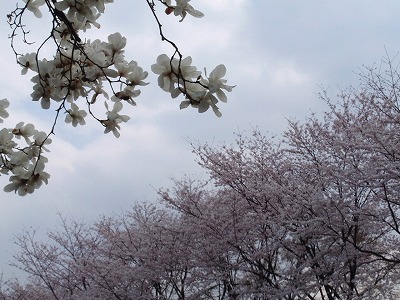 c0105785_953163.jpg