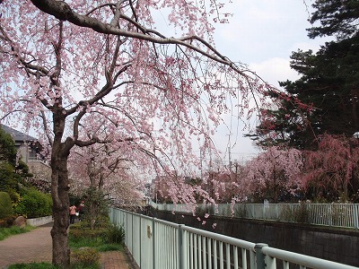 c0105785_9582194.jpg
