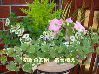 c0029190_19352558.jpg