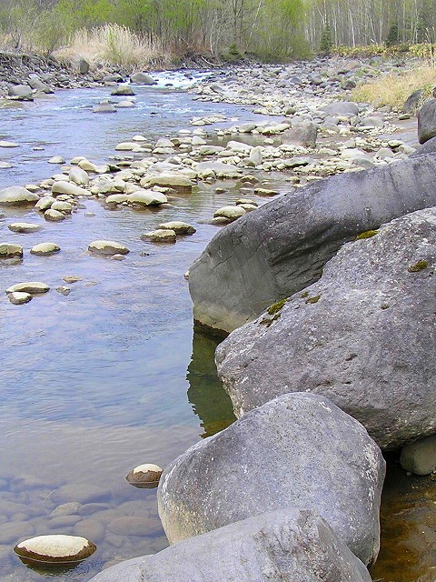 a0067991_1015231.jpg