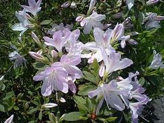 f0079191_20142254.jpg