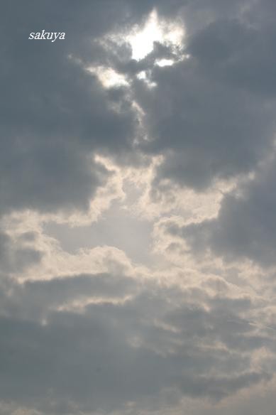 e0122194_2032419.jpg