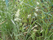 f0130894_22144123.jpg