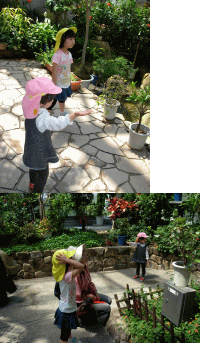 e0118595_13375967.gif