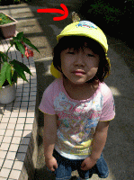 e0118595_13431181.gif