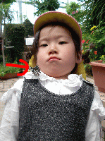 e0118595_13471396.gif