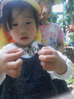 e0118595_13555917.gif
