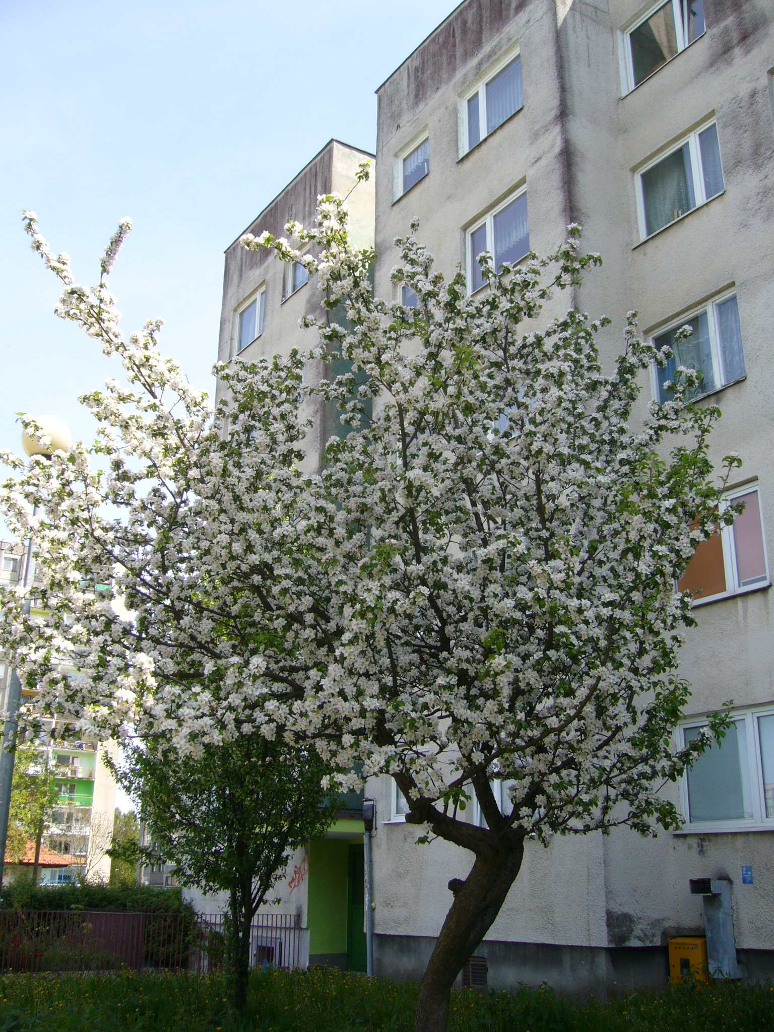 f0169397_23404176.jpg