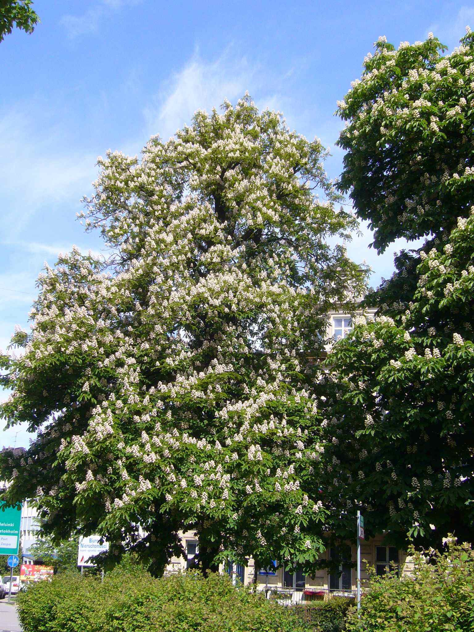 f0169397_23421462.jpg