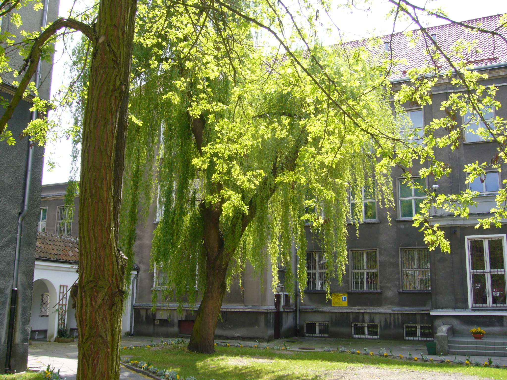 f0169397_23442322.jpg