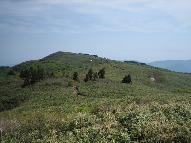 c0147398_1452431.jpg