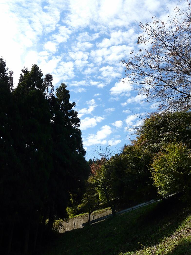 b0138101_2256325.jpg