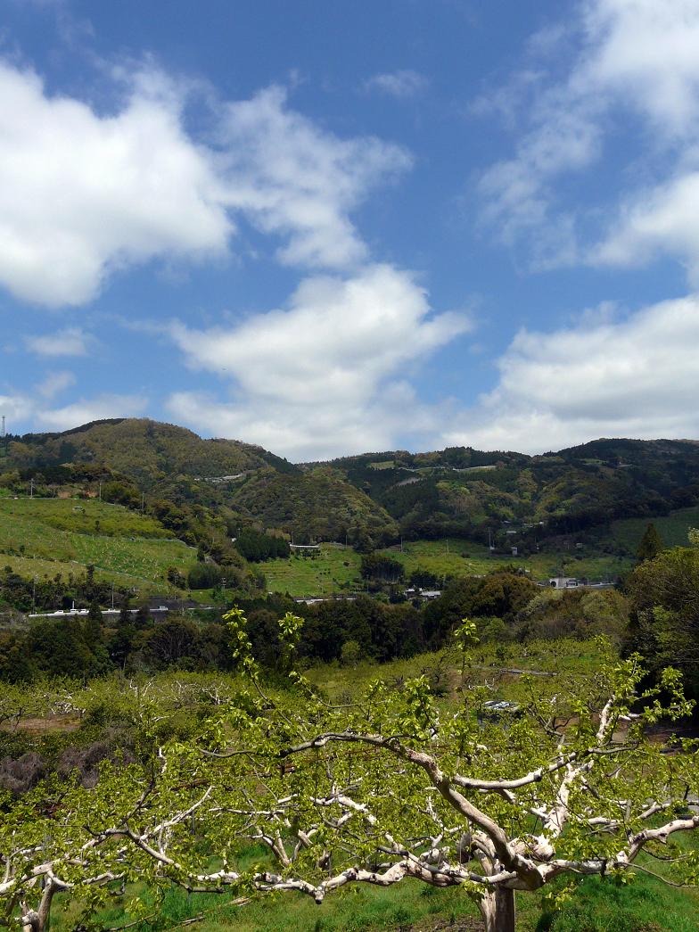 b0138101_22574098.jpg