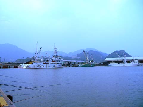 d0004301_0293566.jpg