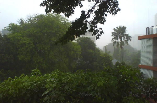 e0007801_224280.jpg