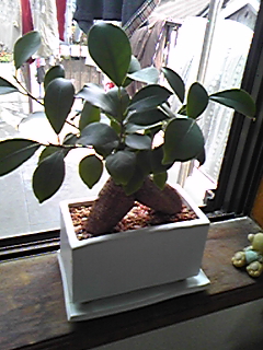 a0019322_14141029.jpg