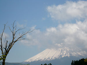 d0023725_9505563.jpg
