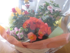e0121228_1723914.jpg