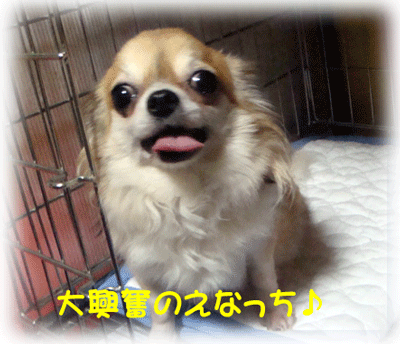 b0078030_054655.gif