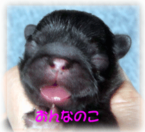b0078030_2359484.gif