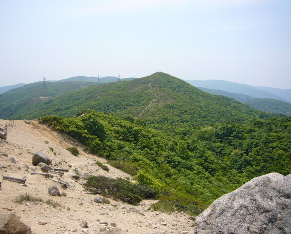 d0075131_16047.jpg