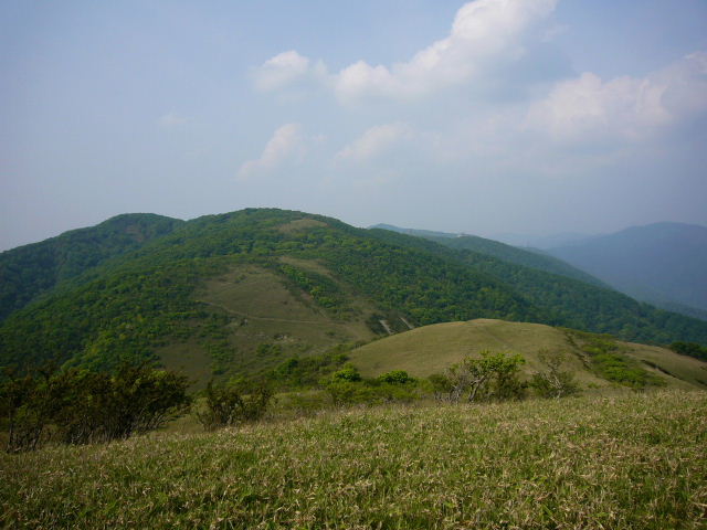 d0075131_163218.jpg