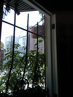 c0056437_22152091.jpg