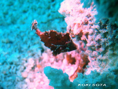 e0027447_1828162.jpg
