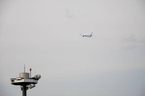 a0024250_2345767.jpg