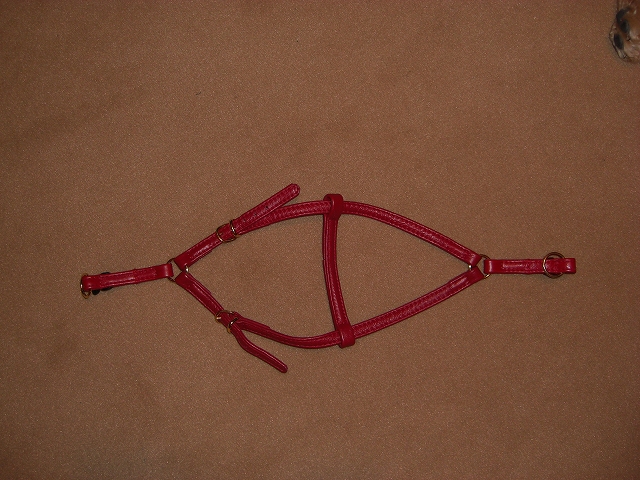 c0129852_22503842.jpg
