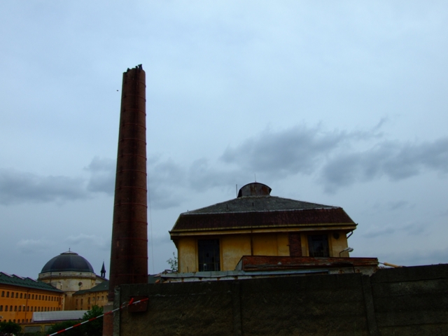 e0134658_1632153.jpg