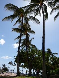 c0123668_8445733.jpg