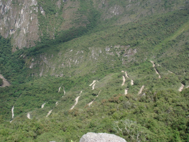 f0160069_2024195.jpg