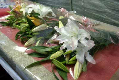 e0097770_2247276.jpg